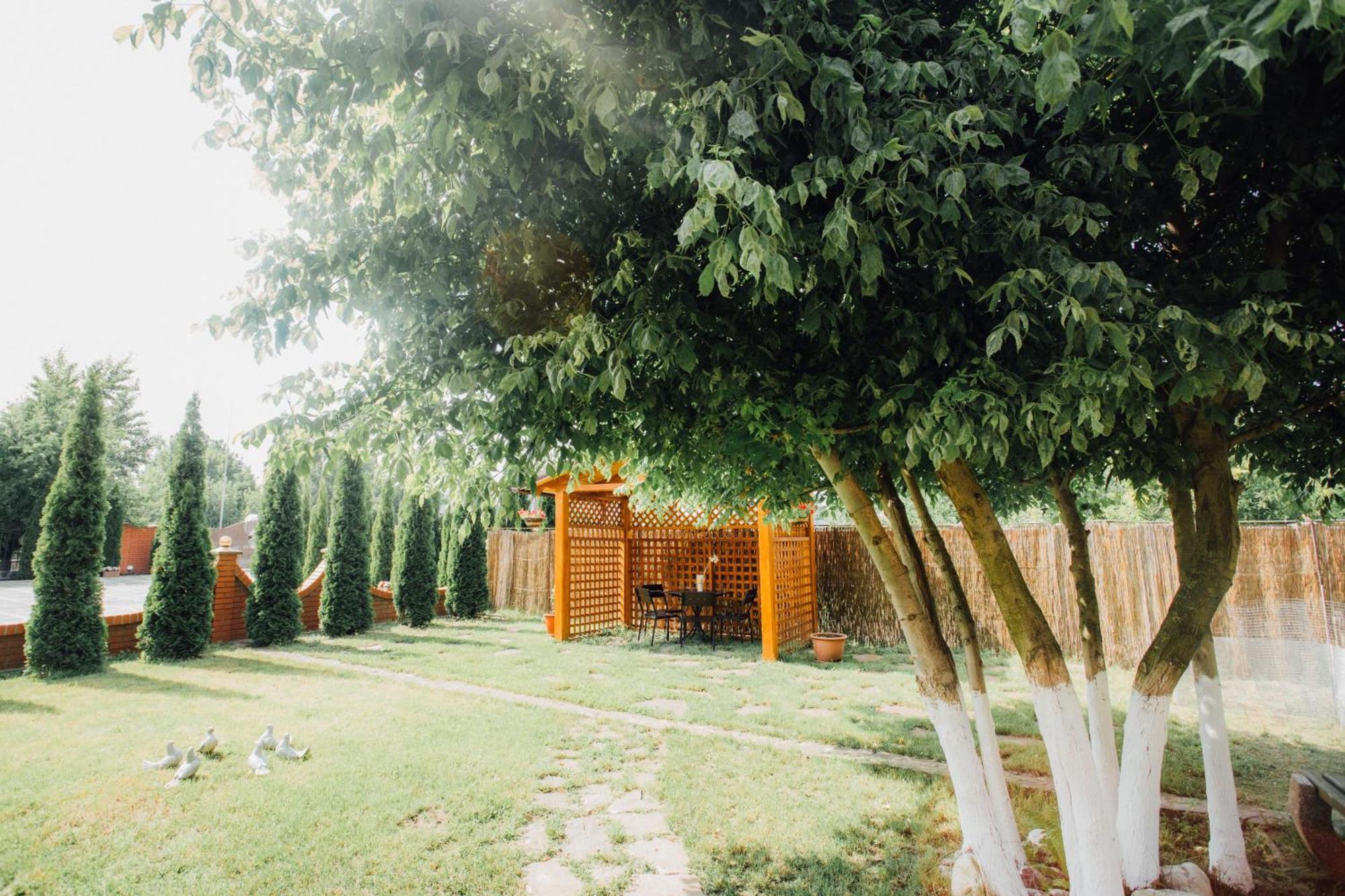 Villa Fenix Berehove  Exterior photo